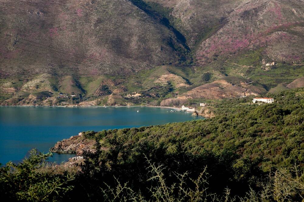 Photo of Outdoor in East Mani