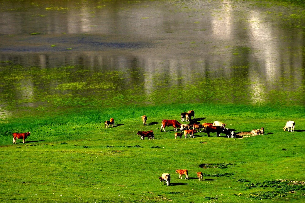 Photo of Others in Papigo