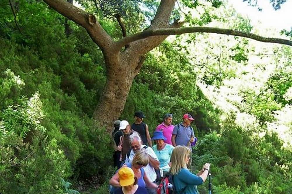 Photo of Others in Stira