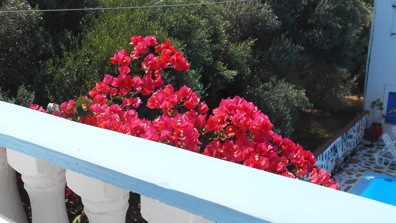 Photo of Patio Balcony in Marathokampos