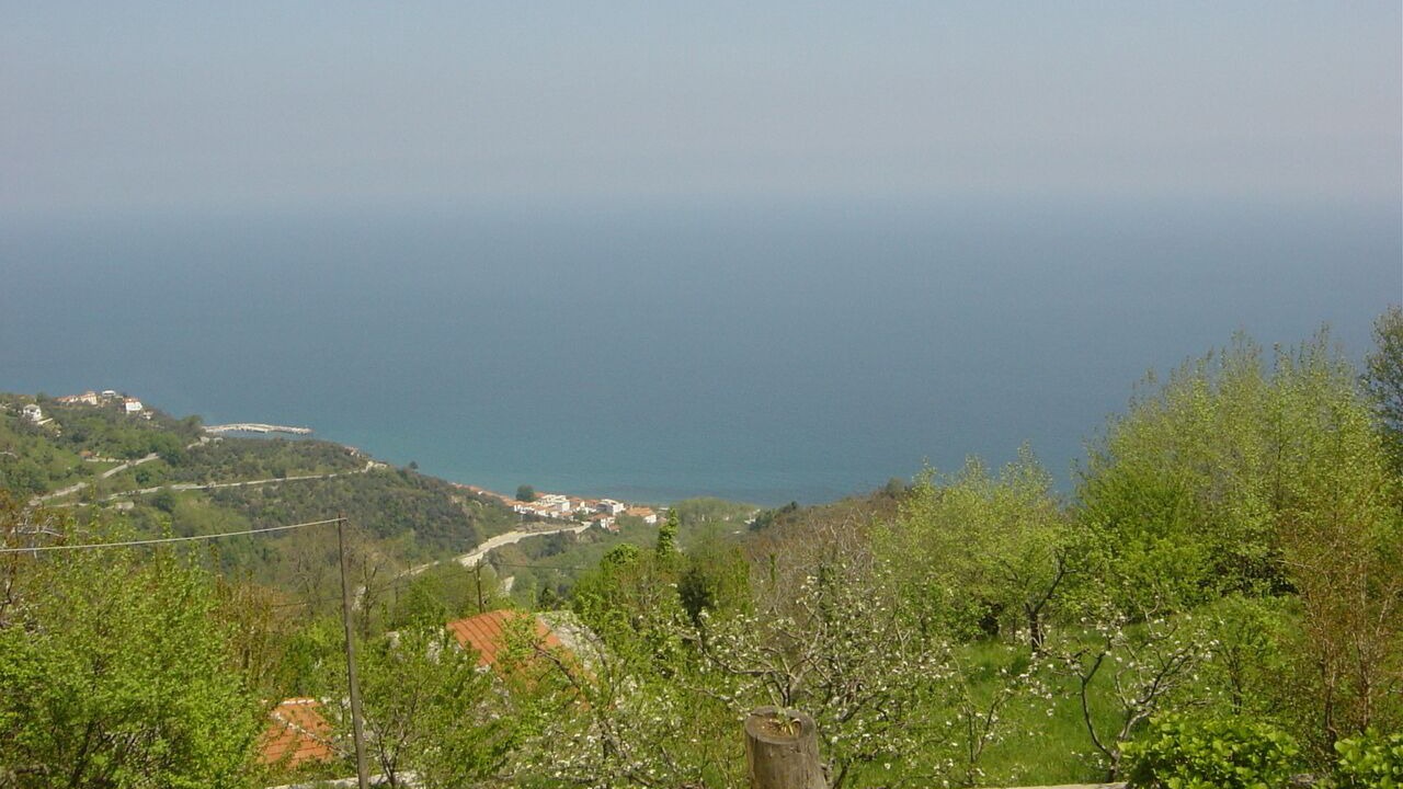 Photo of Outdoor in Papa Nero