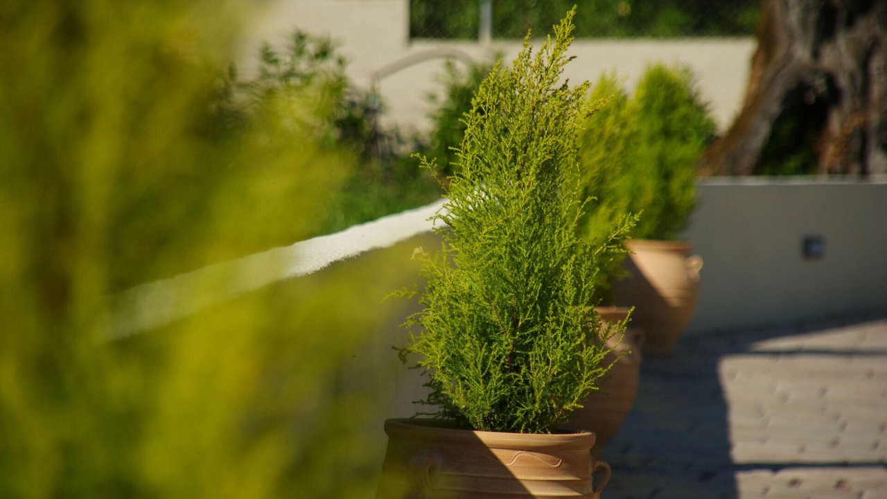 Photo of Outdoor in Poulades