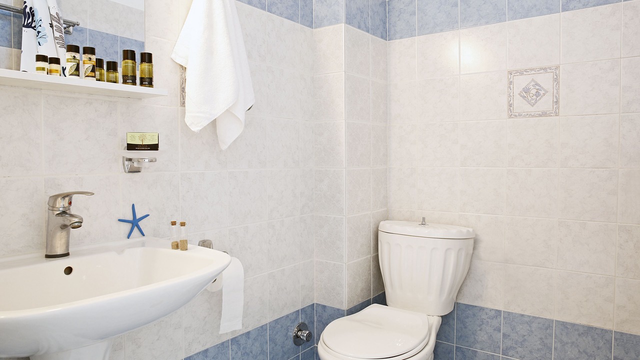 Photo of Bathroom in Scala