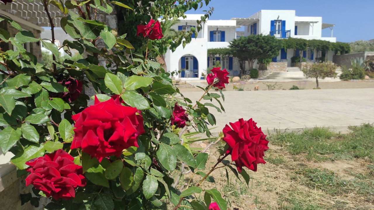Photo of Outdoor in Katapola