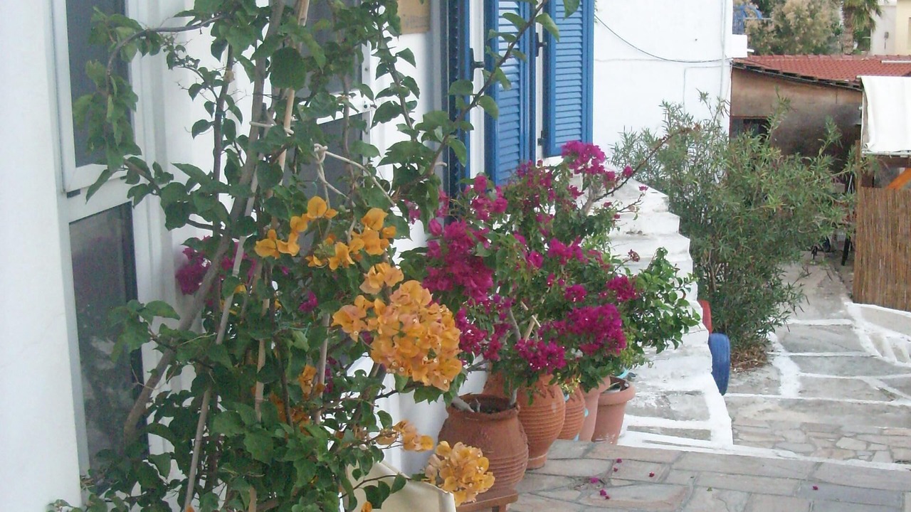 Photo of Others in Ikaria