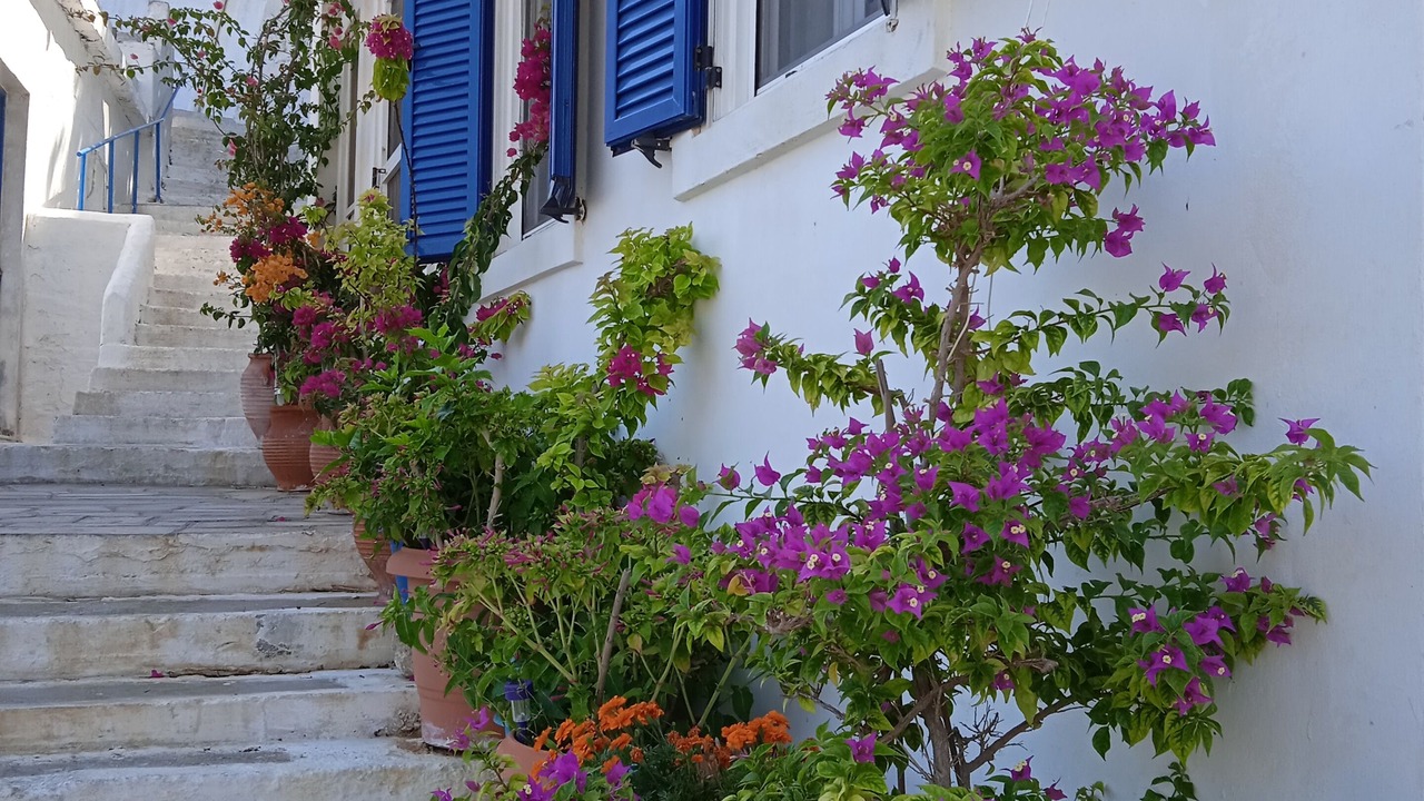 Photo of Others in Ikaria