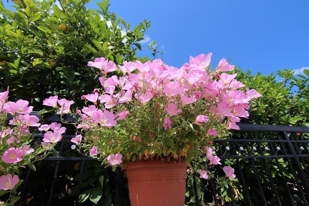 Photo of Outdoor in Evrostina