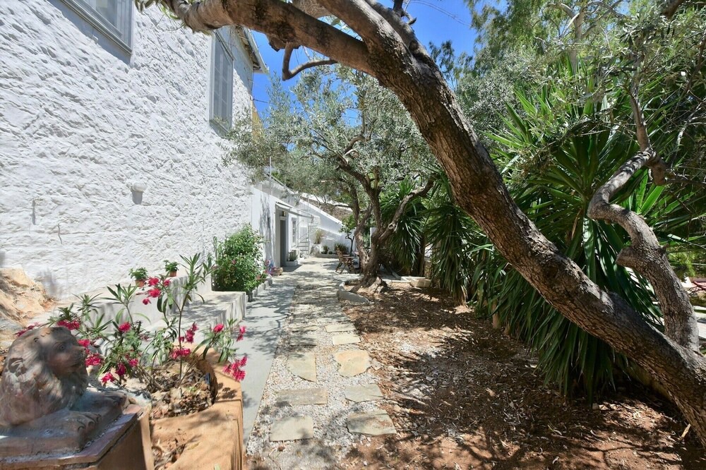 Photo of Outdoor in idhra