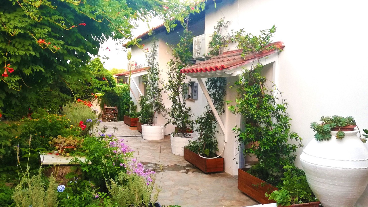 Photo of Outdoor in Agia Paraskevi