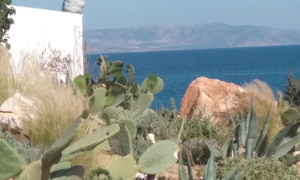 Photo of Outdoor in Piso Livadi