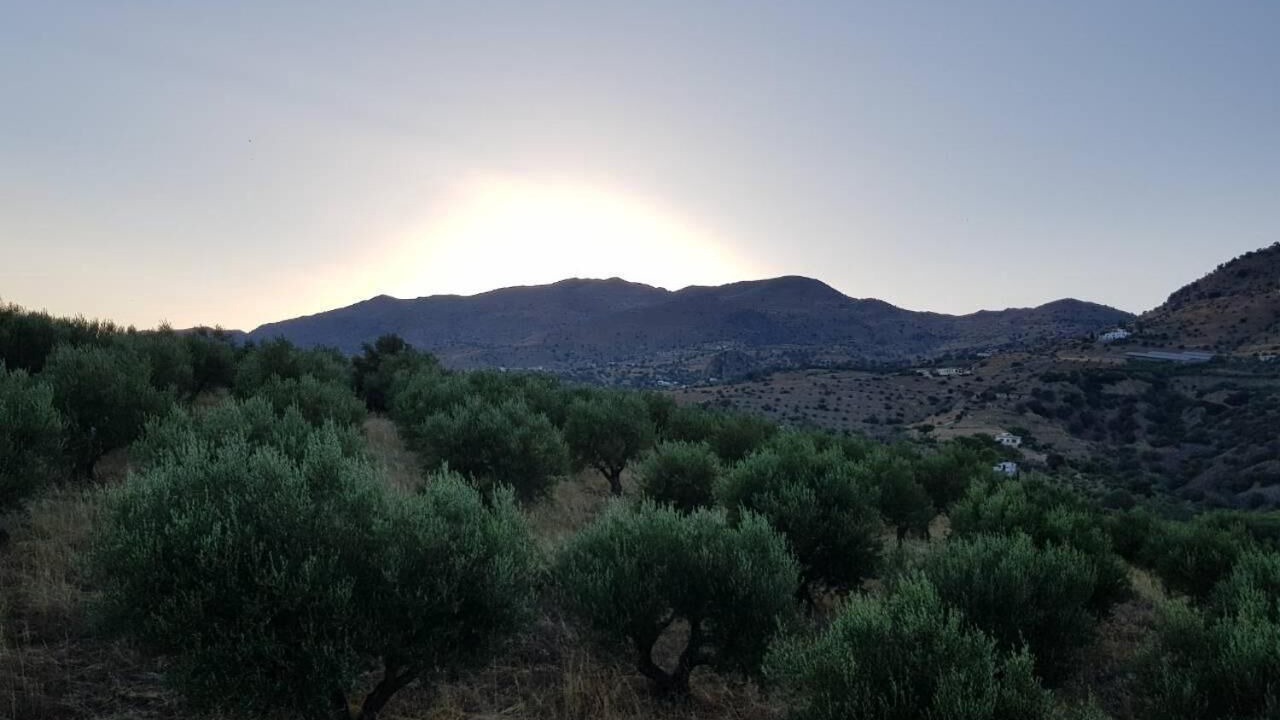 Photo of Outdoor in Agia Galini