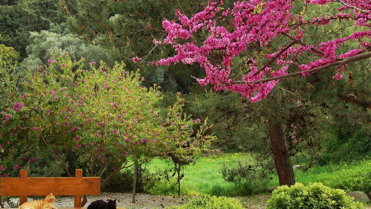 Photo of Outdoor in Asgourou
