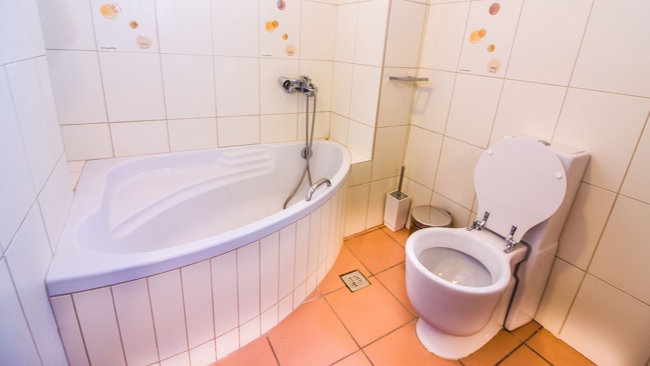 Photo of Bathroom in Malaxa