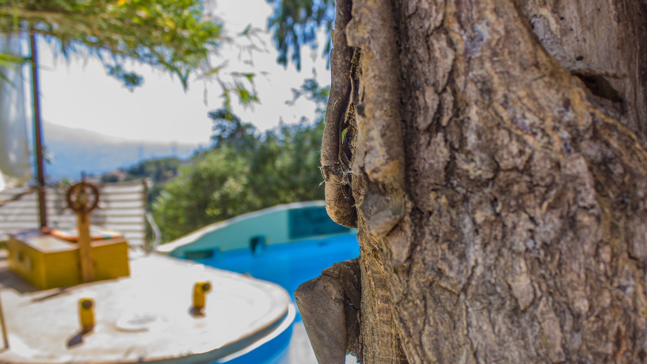 Photo of Outdoor in Malaxa