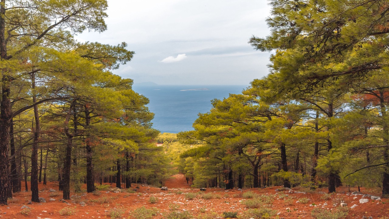 Photo of Outdoor in Monolithos