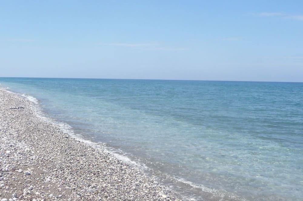 Photo of Others in Soroni