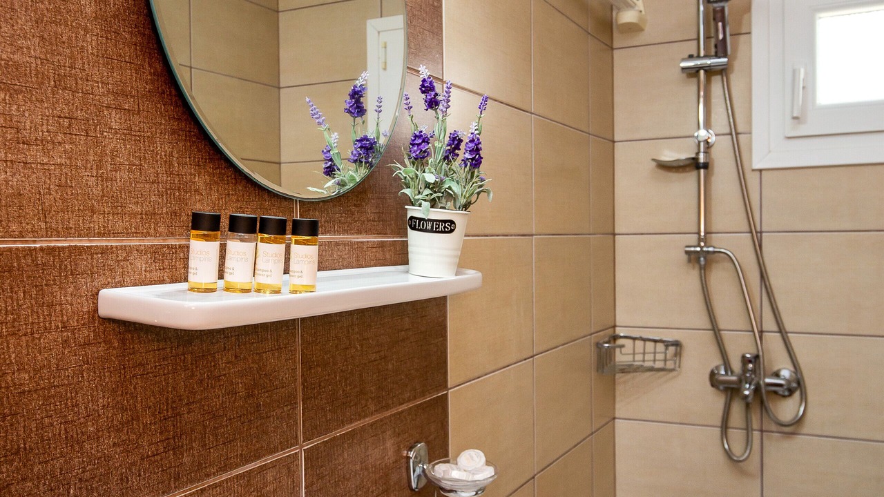 Photo of Bathroom in Potos
