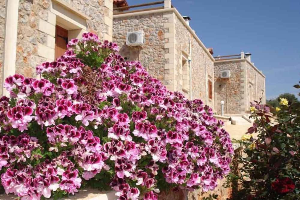 Photo of Outdoor in Apokoronas