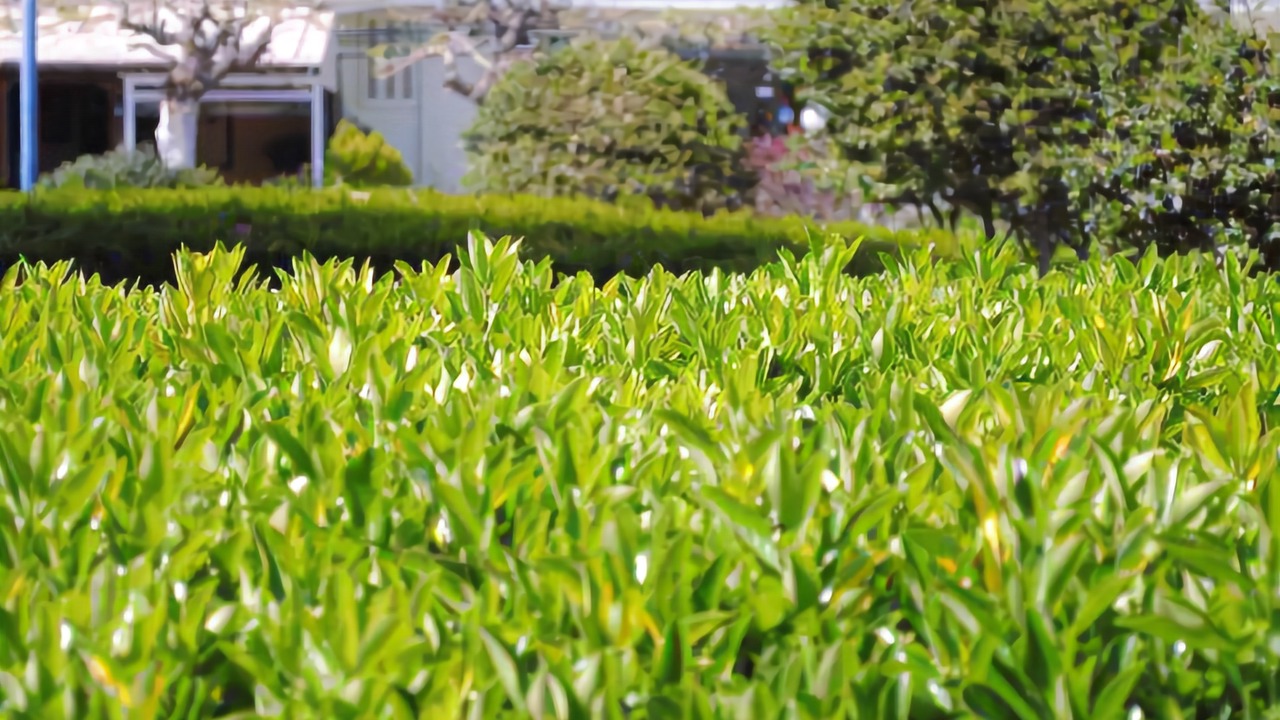 Photo of Outdoor in Nea Anchialos