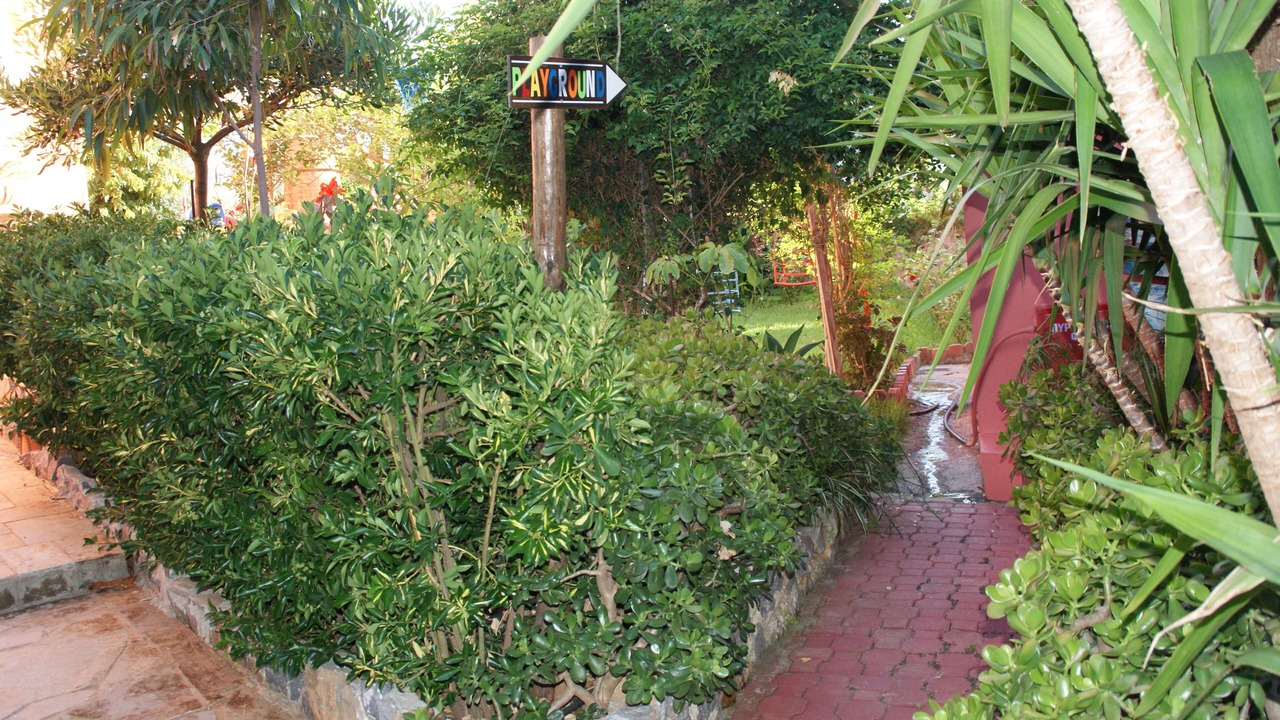 Photo of Outdoor in Dramia