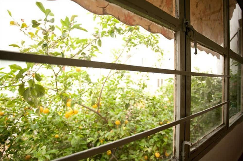 Photo of Patio Balcony in Dafni
