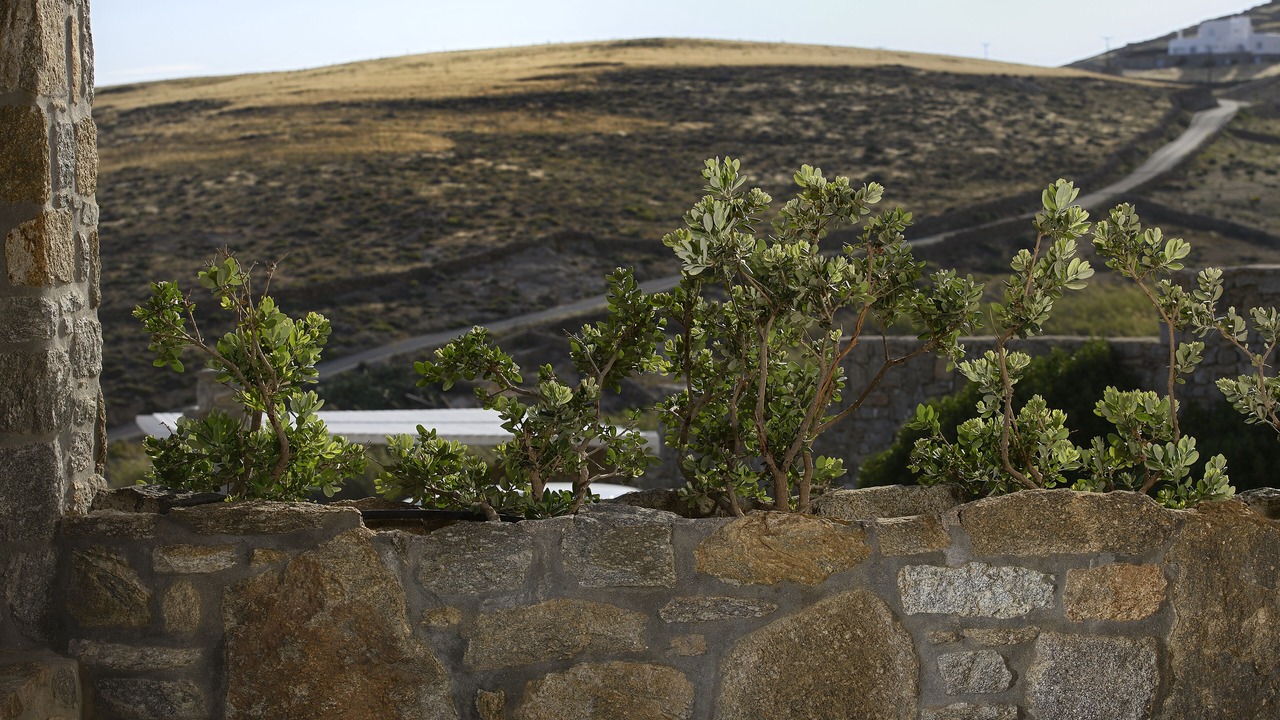 Photo of Outdoor in Kalafatis