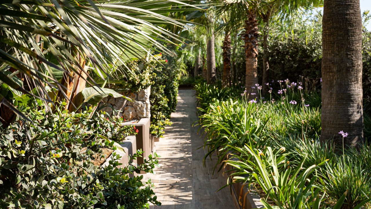 Photo of Outdoor in Lambi
