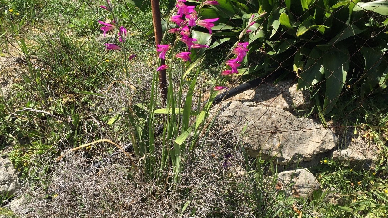 Photo of Outdoor in Amari