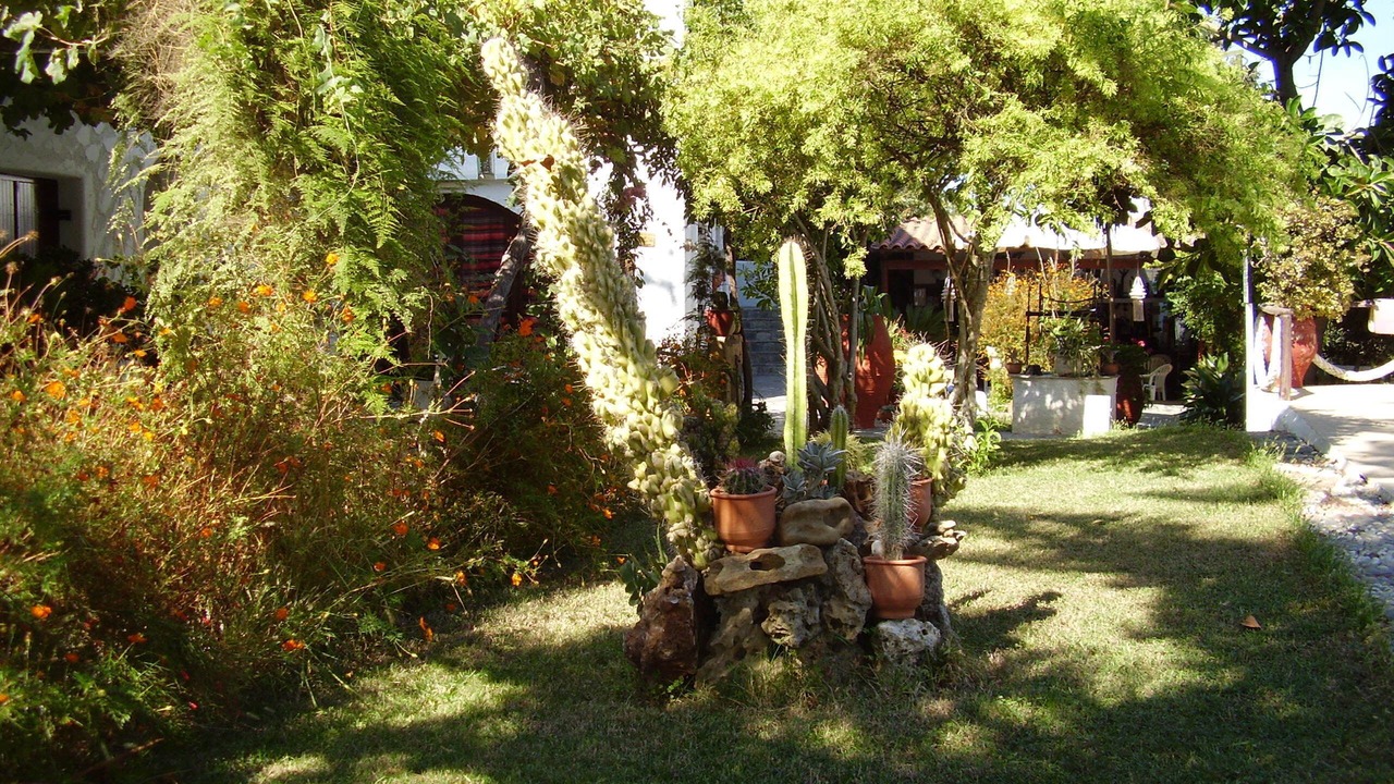 Photo of Outdoor in Maleme