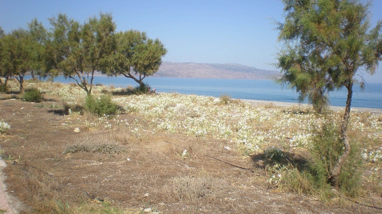 Photo of Others in Maleme