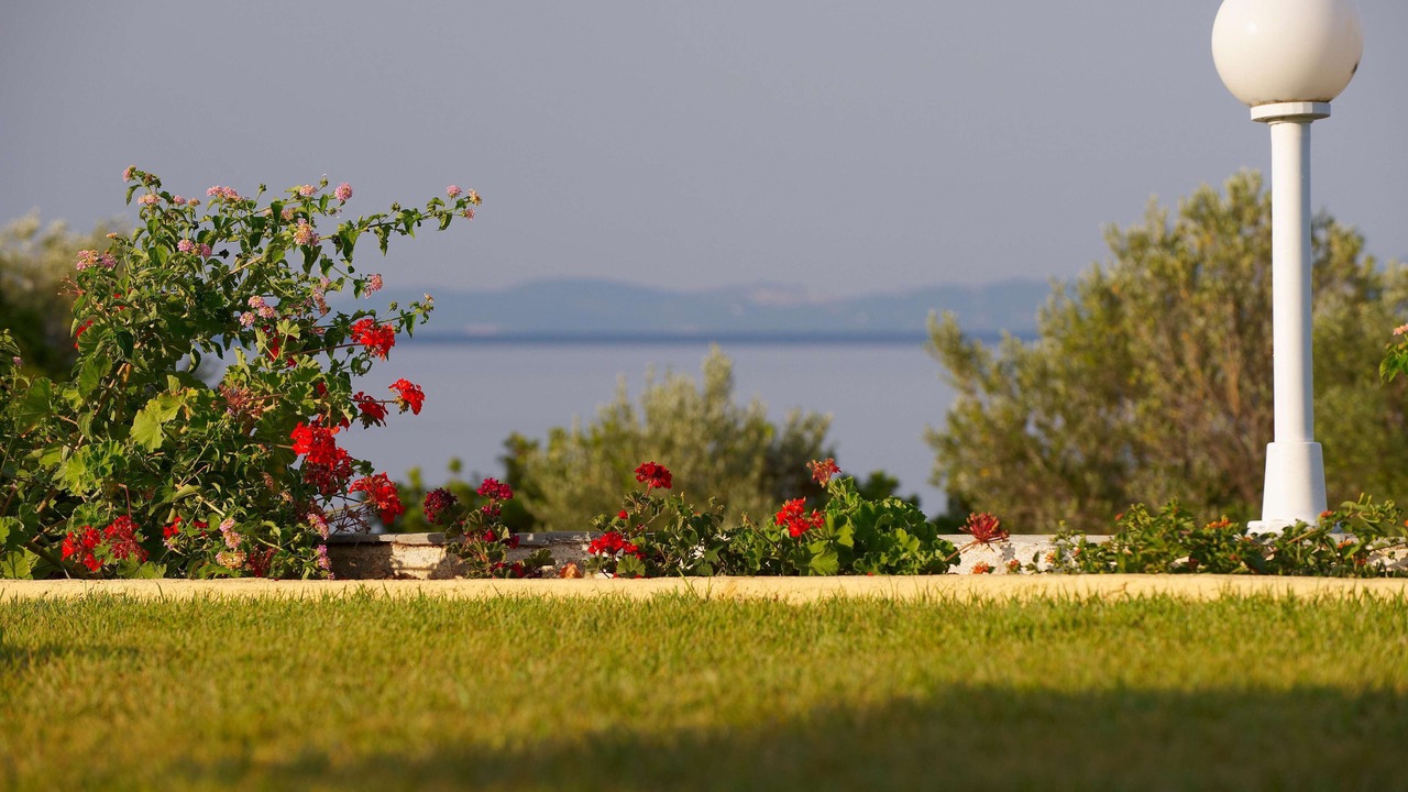 Photo of Outdoor in Elia Nikitis