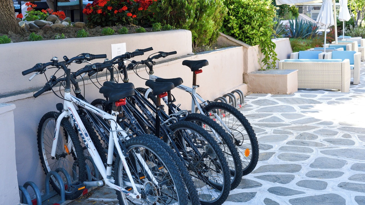 Photo of Outdoor in Elia Nikitis
