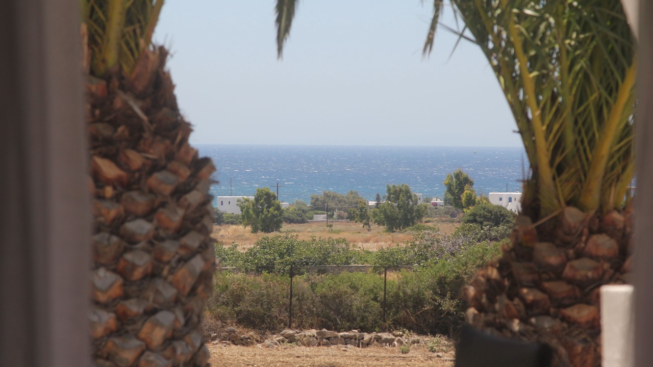Photo of Others in Naxos