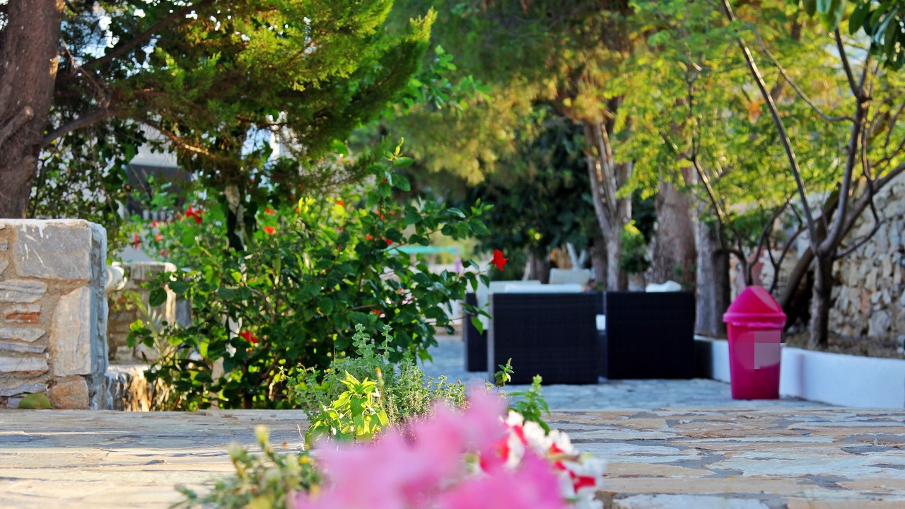 Photo of Others in Naxos