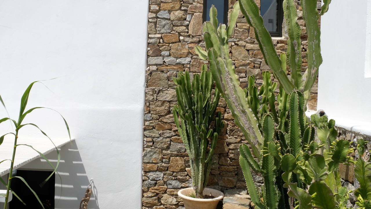Photo of Outdoor in Drafaki