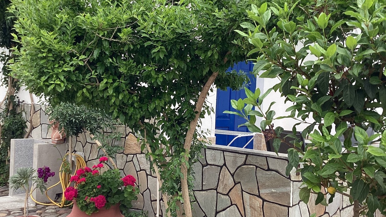 Photo of Outdoor in Anaxos