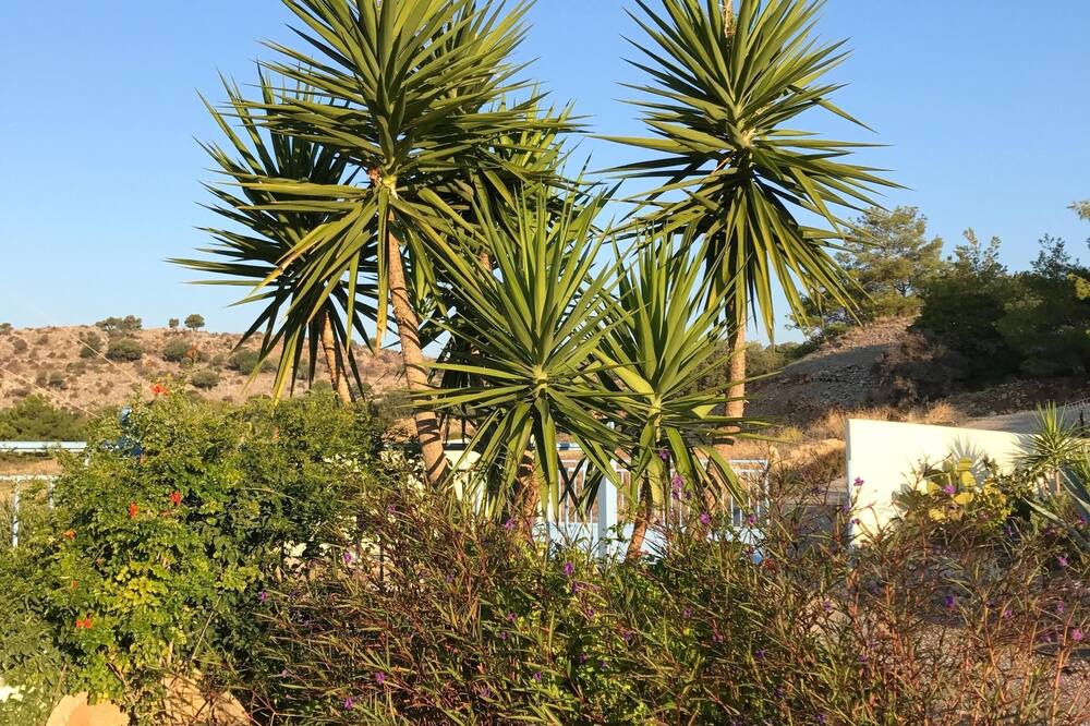 Photo of Outdoor in Lardos