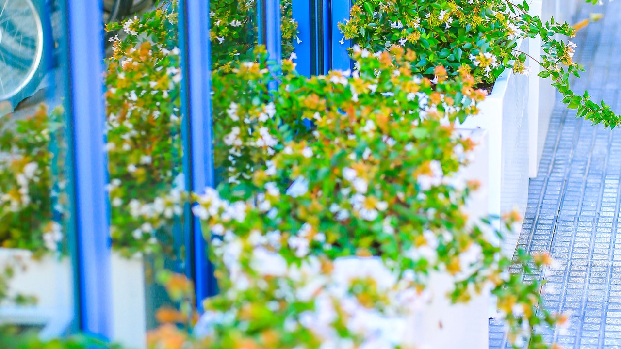Photo of Outdoor in Alexandroupoli