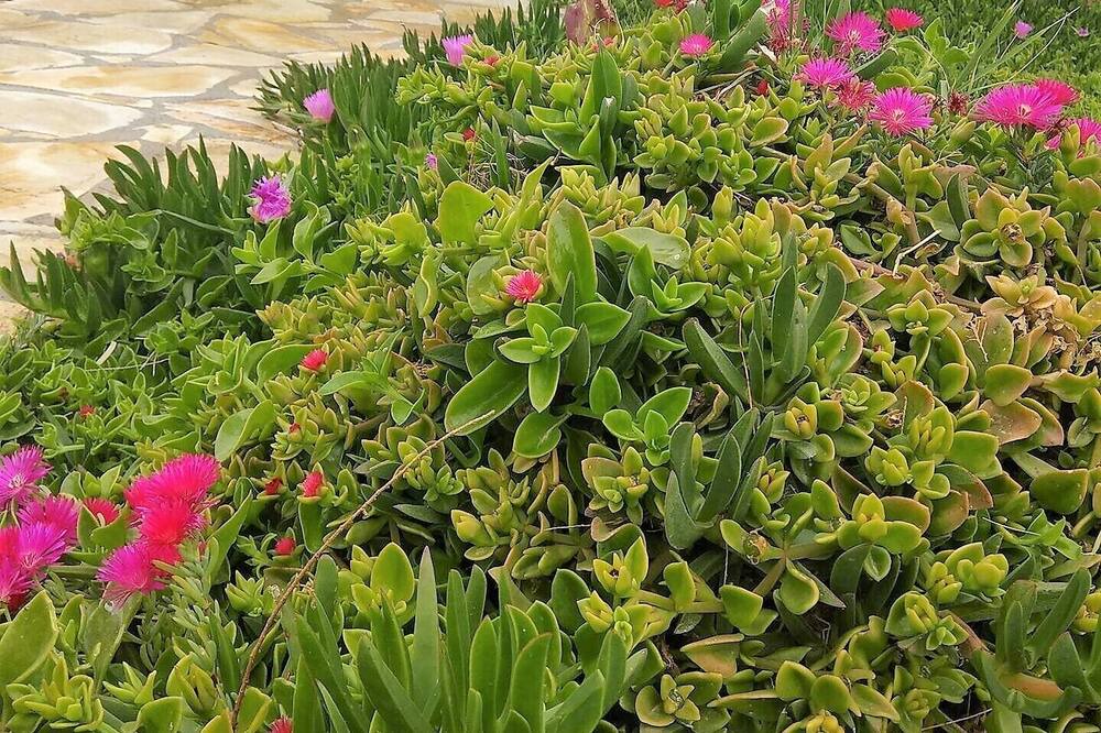 Photo of Outdoor in Stavromenos