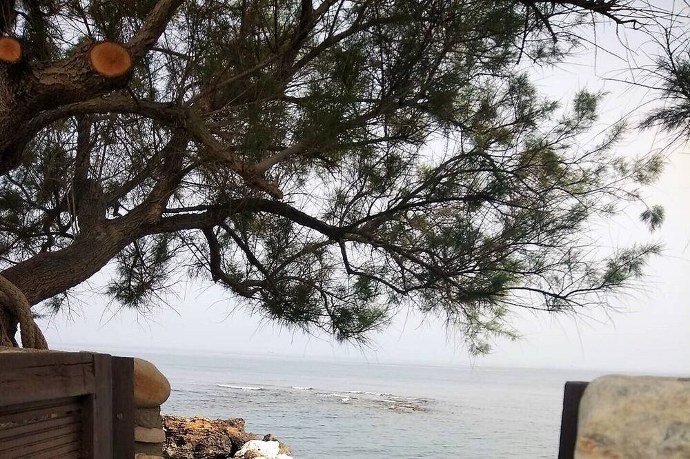Photo of Others in Stavromenos