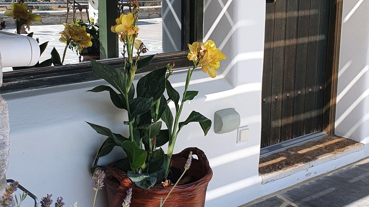 Photo of Outdoor in Naxos