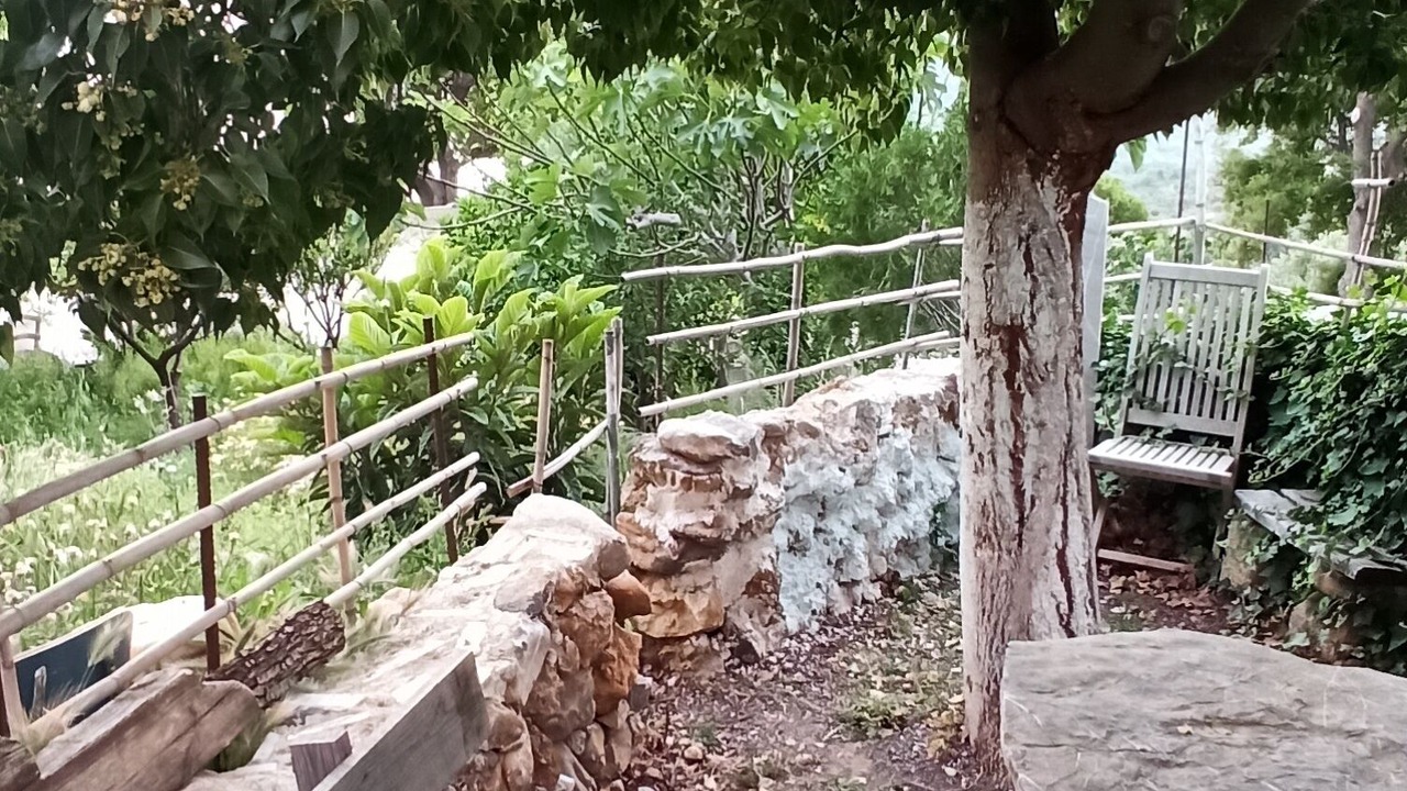 Photo of Outdoor in Vizari