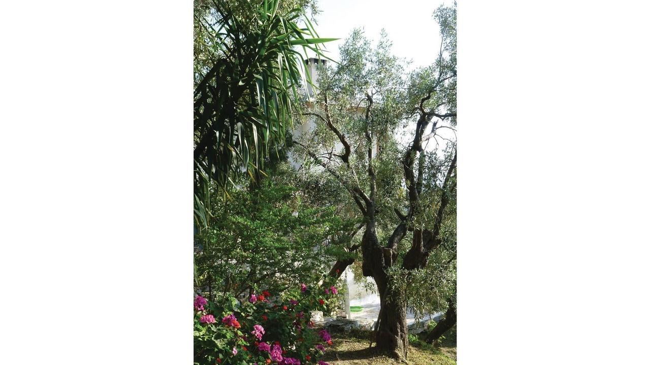 Photo of Outdoor in Afissos