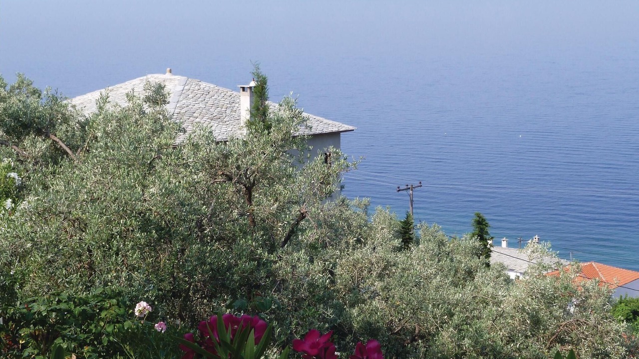 Photo of Outdoor in Afissos