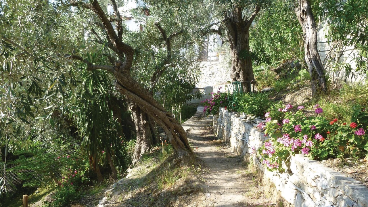 Photo of Outdoor in Afissos