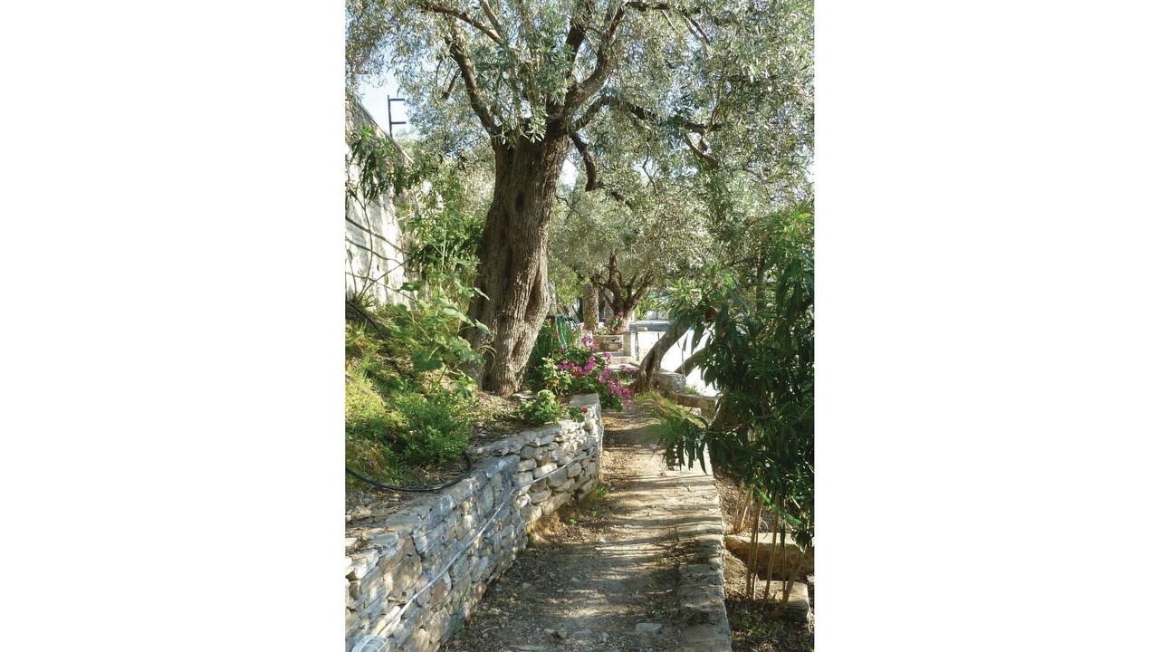 Photo of Outdoor in Afissos