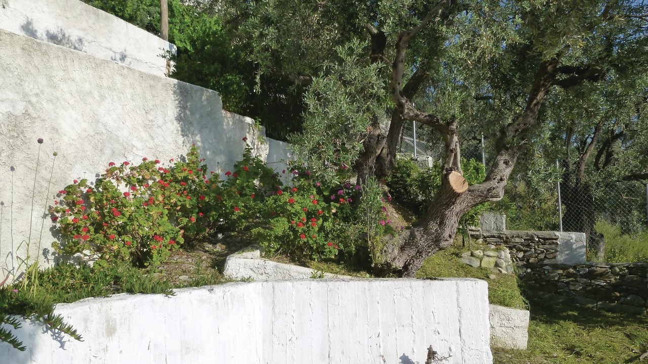 Photo of Outdoor in Afissos