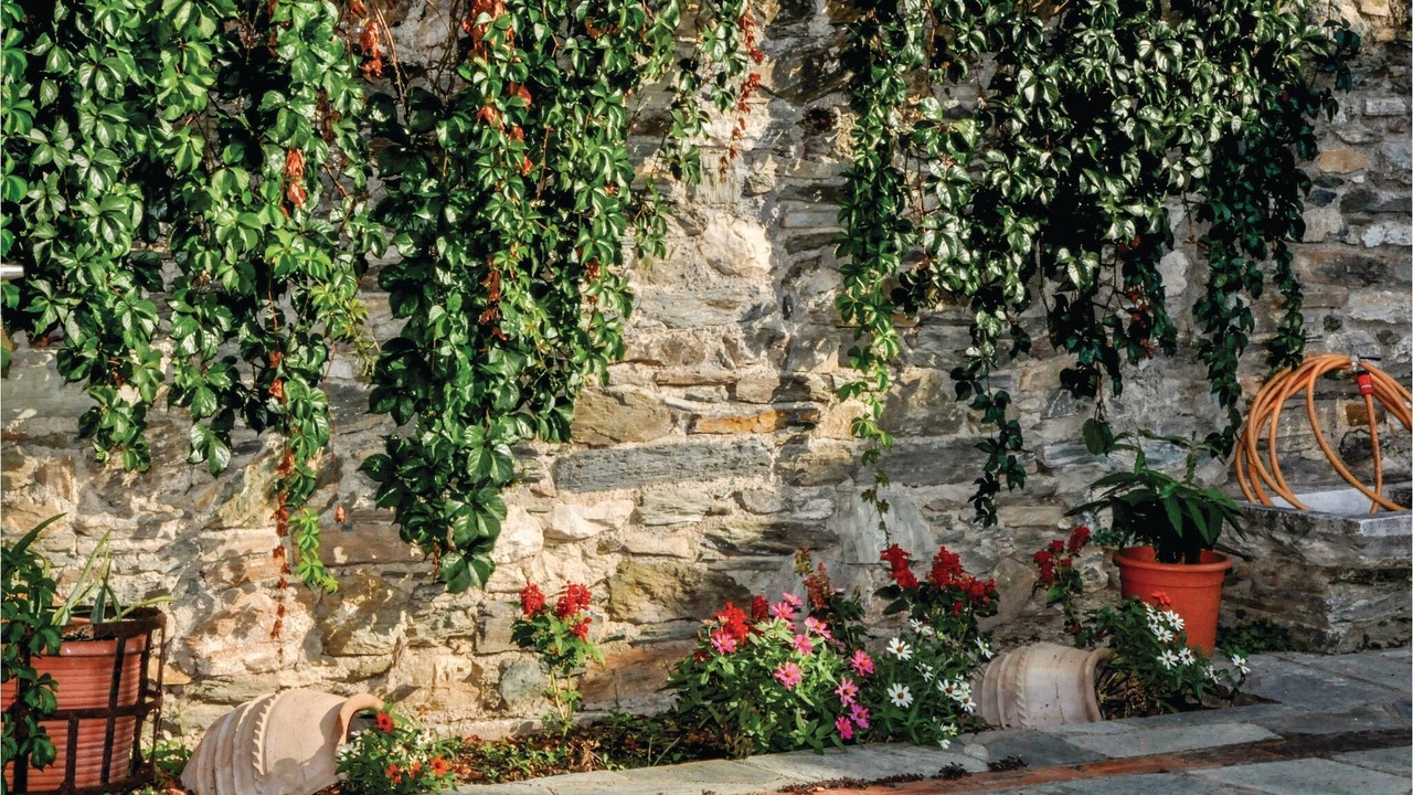 Photo of Outdoor in Portaria