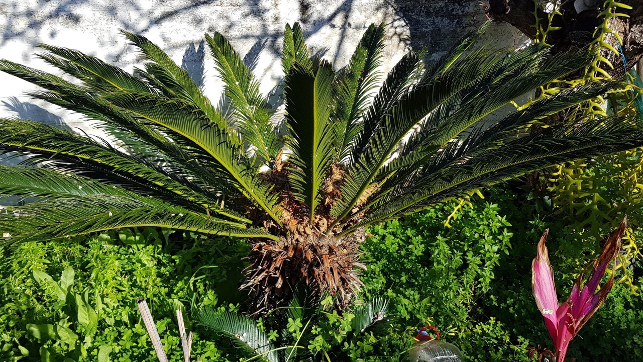 Photo of Outdoor in Agii Apostoli