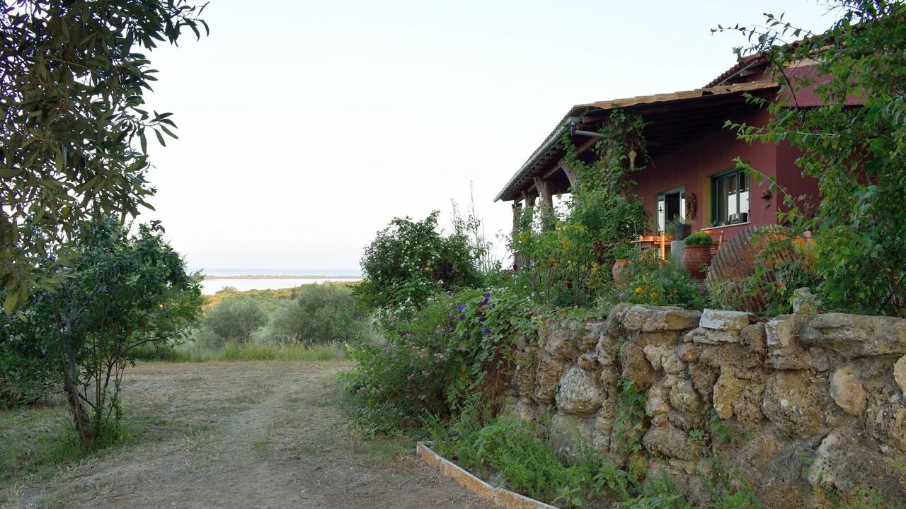 Photo of Outdoor in Notos